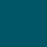 COLOR COORDINATOR ACCENT SATIN  11