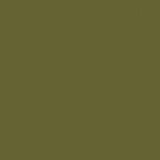 COLOR COORDINATOR ACCENT SATIN  13