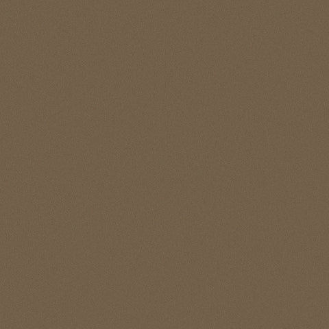MICA PAINT SEPIA BRONZE 70/S
