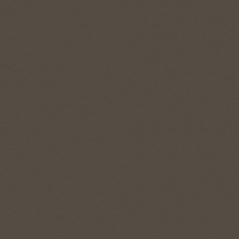 MICA PAINT GILDED ASH 73/1