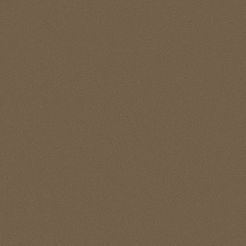 BACKPAINTED GLASS SEPIA BRONZE B5