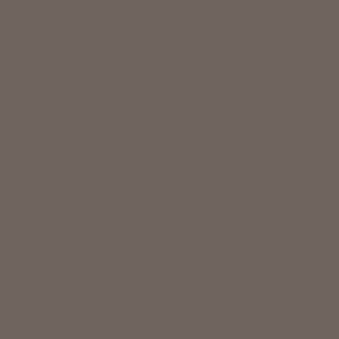 BOUTIQUE & PUNT  - GLASS  SOLAR BRONZE 10mm