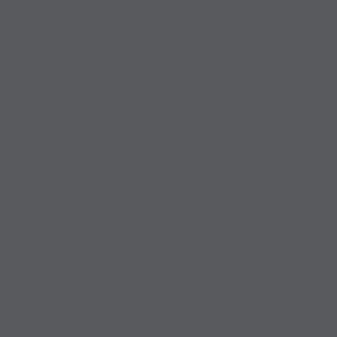 BOUTIQUE - GLASS  SOLAR GREY 10 mm