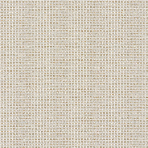 CARREAUX MEMO SAMPLE