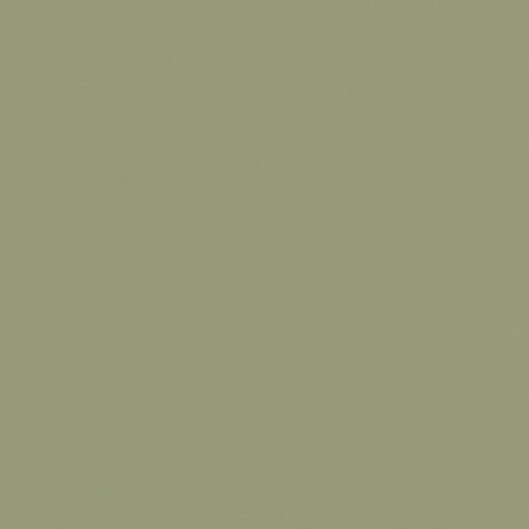 METAL PAINT ( EMOTE )  LODEN CH