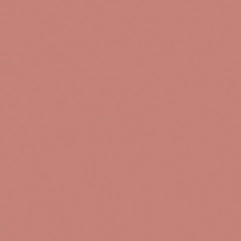 METAL PAINT  ( EMOTE )  BLUSH CK