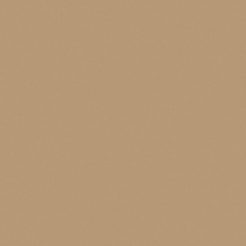 METAL PAINT  ( EMOTE ) SOFT GOLD CQ