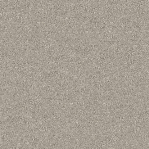 DECOY MEMO SAMPLE D153