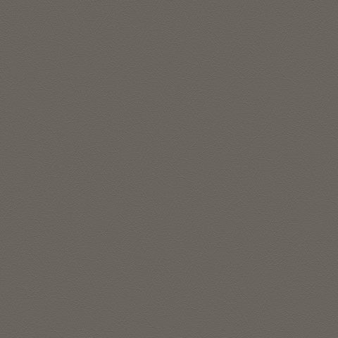DECOY MEMO SAMPLE D154