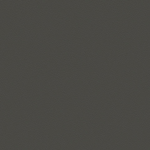 DECOY MEMO SAMPLE D155