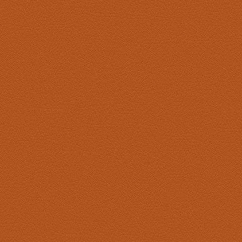 DECOY MEMO SAMPLE  D172
