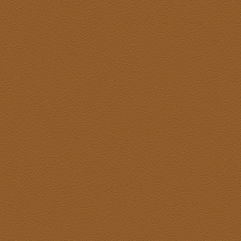 DECOY MEMO SAMPLE D173