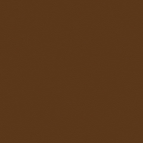 DECOY MEMO SAMPLE D174