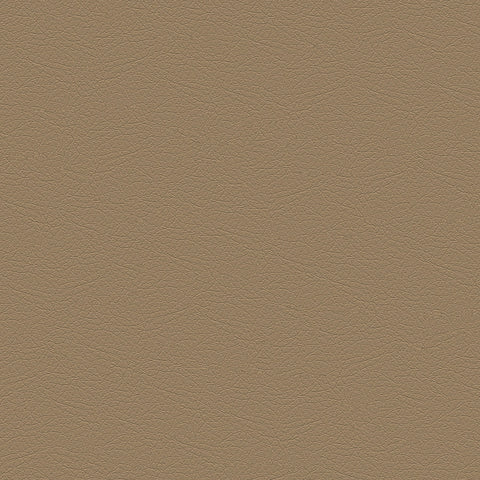 DECOY MEMO SAMPLE D180