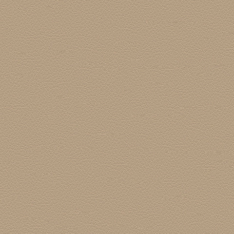 DECOY MEMO SAMPLE D181