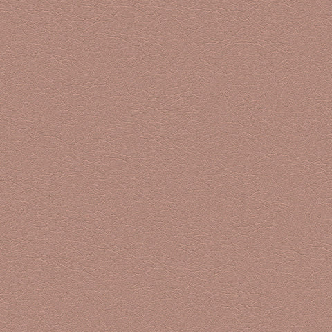DECOY MEMO SAMPLE D182