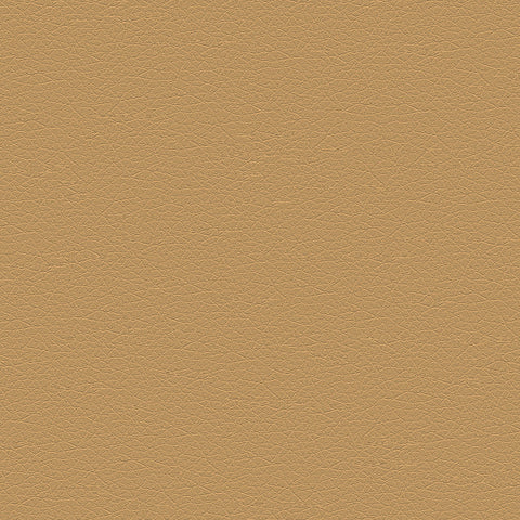 DECOY MEMO SAMPLE D183