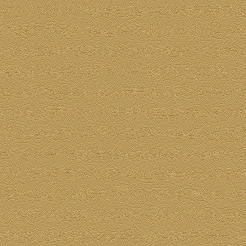 DECOY MEMO SAMPLE D185