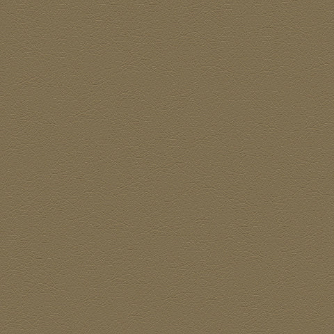 DECOY MEMO SAMPLE D186