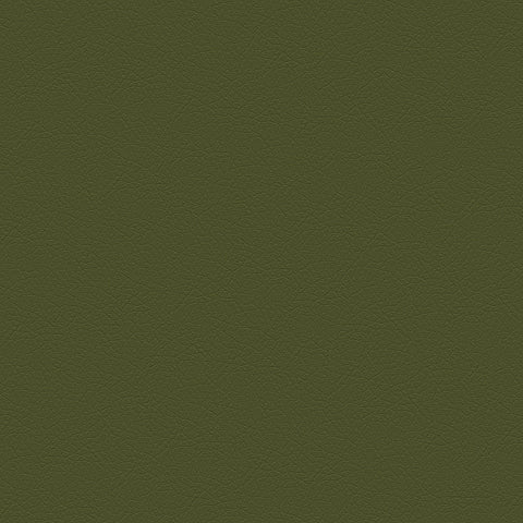 DECOY MEMO SAMPLE D188