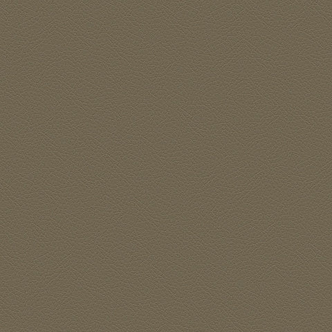 DECOY MEMO SAMPLE D192