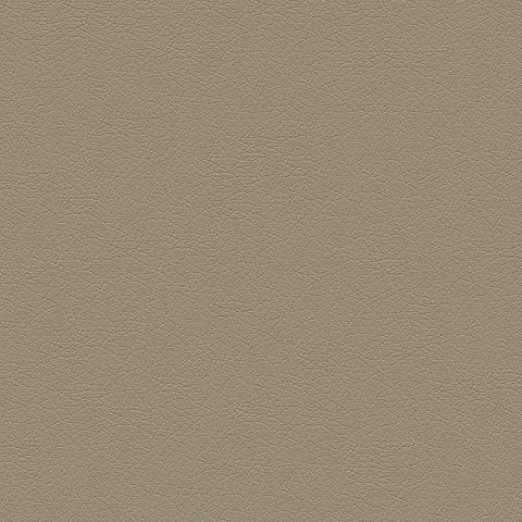 DECOY MEMO SAMPLE D193