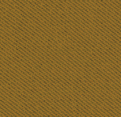 ECOTONE MEMO SAMPLE