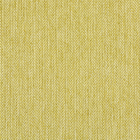 PERCEPT MEMO SAMPLE