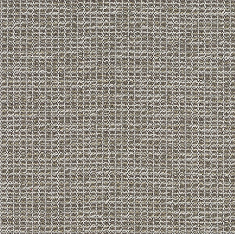 SUBSTANCE MEMO SAMPLE
