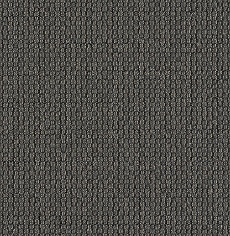 AMPLE MEMO SAMPLE T241