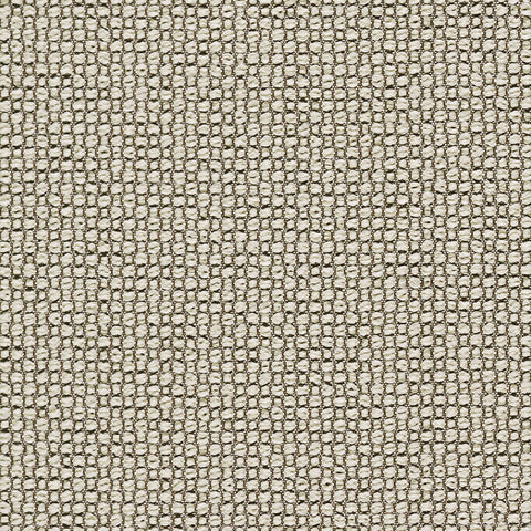 AMPLE MEMO SAMPLE T220