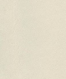 SURFACE LEATHER: BEIGE L163  (STUDIO TK)