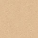 SEATING LEATHER MEMO