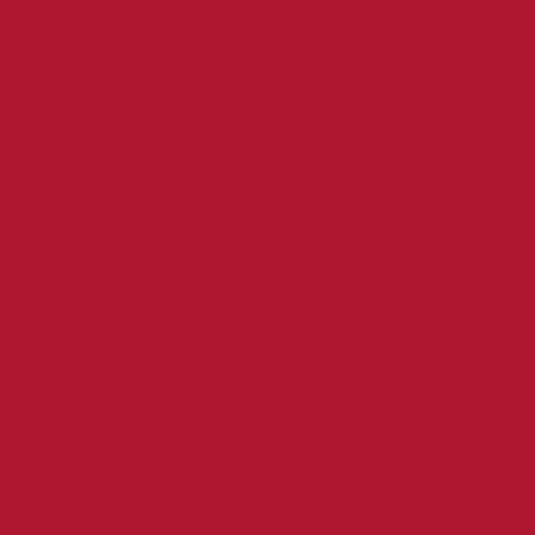COLOR COORDINATOR ACCENT SATIN  91