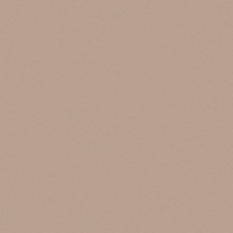 PUNT  METAL PAINT  BEIGE PAINTED (PPE)