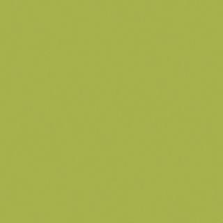 COLOR COORDINATOR ACCENT SATIN 94