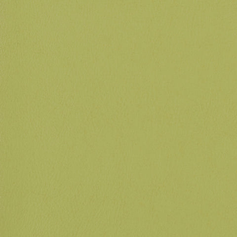 FINE GRAIN MEMO SAMPLE