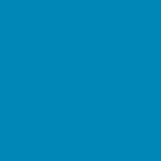 COLOR COORDINATOR ACCENT SATIN 92
