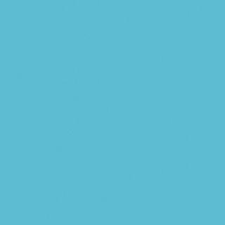 COLOR COORDINATOR ACCENT SATIN 93