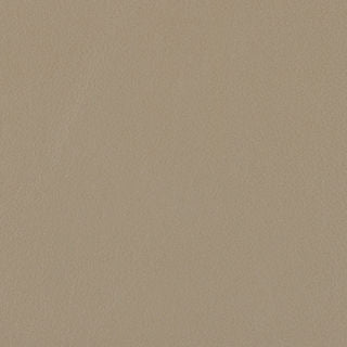 SEATING LEATHER MEMO