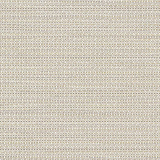 STRIO MEMO SAMPLE
