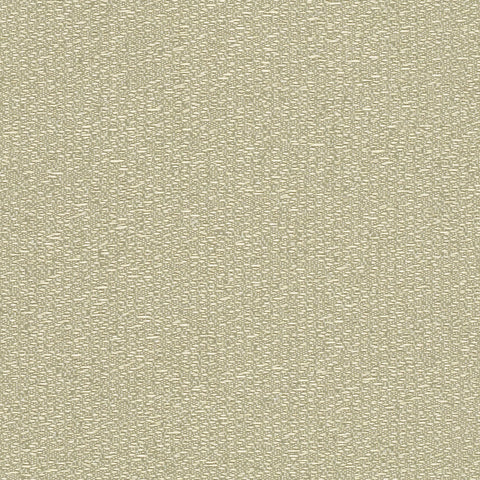 BRAZIL MEMO  SAMPLE