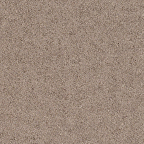 FULL WOOL MEMO SAMPLE