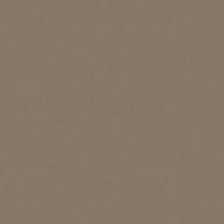 EDGE TRIM EARTH 4V