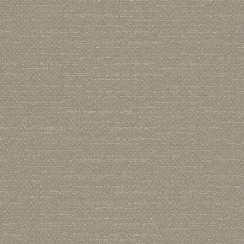 WARP SPEED MEMO SAMPLE