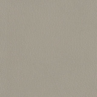 FORTIS MEMO SAMPLE