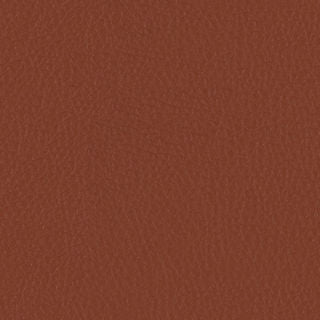 FORTIS MEMO SAMPLE