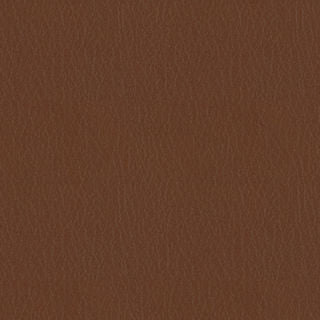 FORTIS MEMO SAMPLE