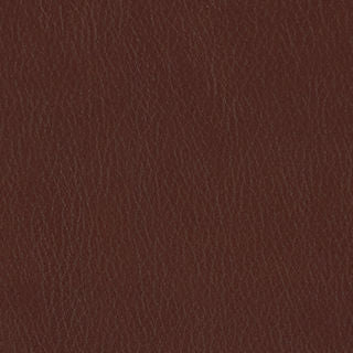 FORTIS MEMO SAMPLE