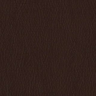 FORTIS MEMO SAMPLE